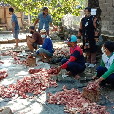Jajaran KUA di Wonogiri Pantau Penyembelihan Hewan Kurban