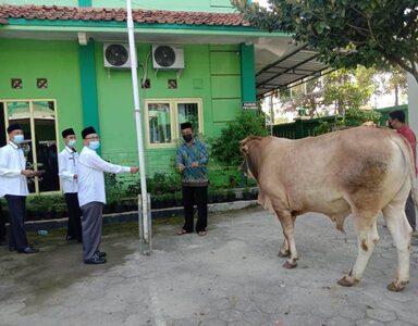 Kemenag Pati Serahkan Secara Simbolis 4 Sapi Untuk 4 Lokasi
