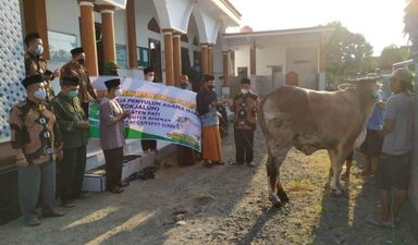 Peringati Hari Raya Idul Adha 1442 H, Pokjaluh Pati Serahkan Hewan Kurban