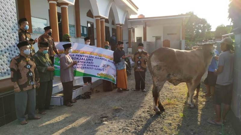 Pokjaluh Pati Serahkan Hewan Kurban ke dua desa di wilayah Kab. Pati.