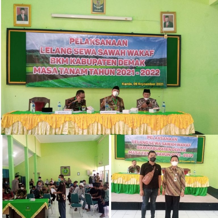 BKM Demak Lelang Sewa Sawah Wakaf Seluas 402 Bahu