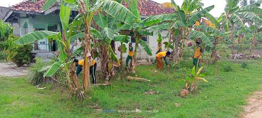 World Clean Up Day, KUA Sarang 2 Gelar Aksi Bersih Lingkungan Kantor