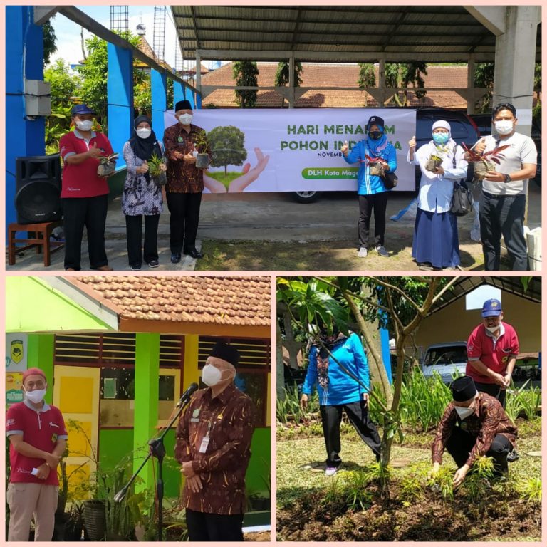 Mengurangi Pemanasan Global Dengan Menanam Pohon