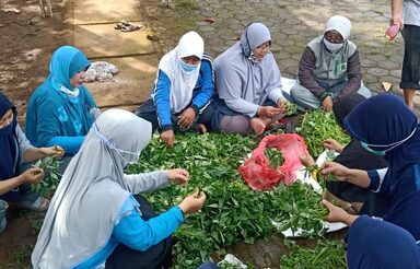 Guru MTsN 2 Rembang Budayakan Apotik Hidup