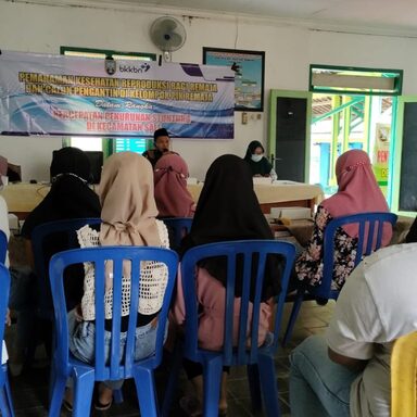 Penyuluh Edukasi Remaja di Desa Sale