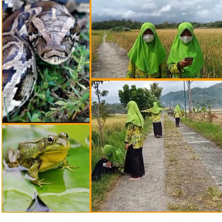 Siswa MTsN 4 Kebumen lakukan Field Study