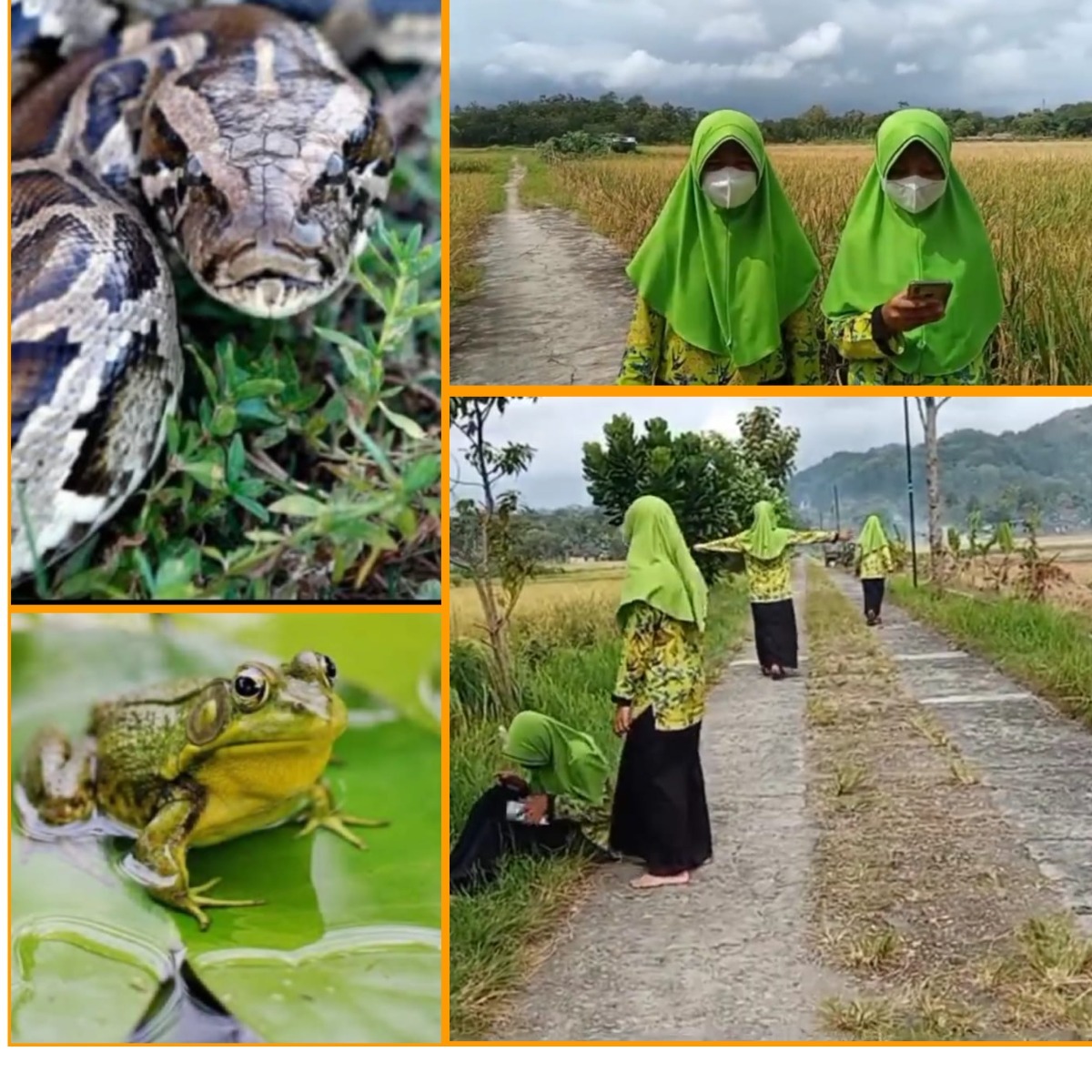 Siswa MTsN 4 Kebumen lakukan Field Study