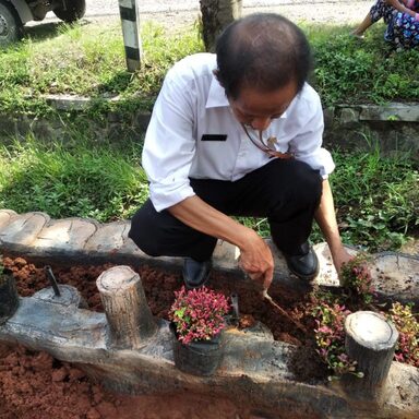 Tanaman Hias Percantik Lingkungan MTsN 2 Rembang