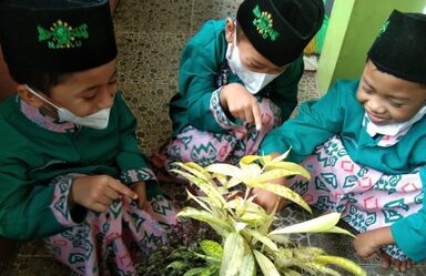 Siswa MIMAU Kenali Benda Hidup Dan Tak Hidup Di Lingkungan Madrasah