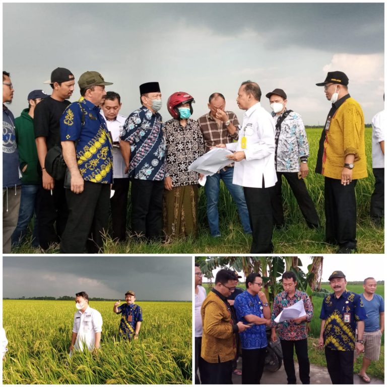 Visitasi Lapangan Lahan Pengganti Tanah Wakaf  Yayasan Sunan Kalijaga