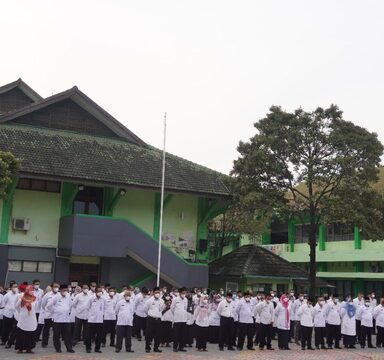 Filosofi Ketupat  Indentik Dengan Lebaran
