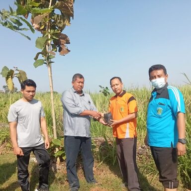 Gandeng Pemdes, MTsN 4 Rembang Adakan Penghijauan Lingkungan Sekitar