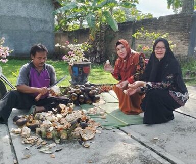 Peduli Lingkungan, MTsN 3 Rembang Budidayakan Pohon Siwalan