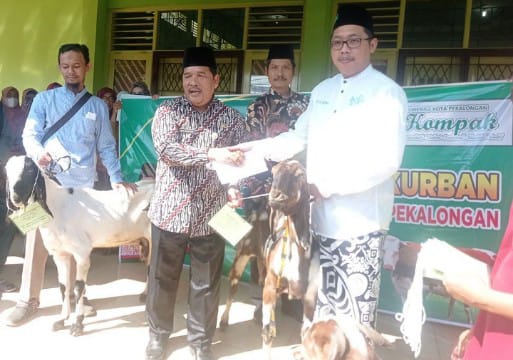 Kakankemenag Kota Pekalongan, H. Kasiman Mahmud Desky. M.Ag meyerahkan hewan Kurban ( Kambing ) Kepada wakil PC NU Kota Pekalongan