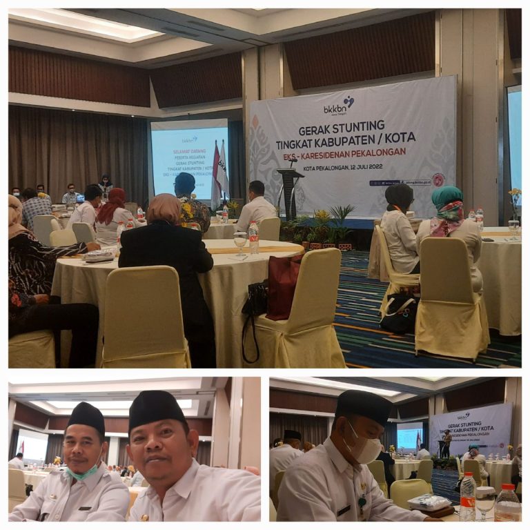 Gerak Stunting Tingkat Kabupaten/Kota untuk wilayah Eks-Karesidenan Pekalongan.