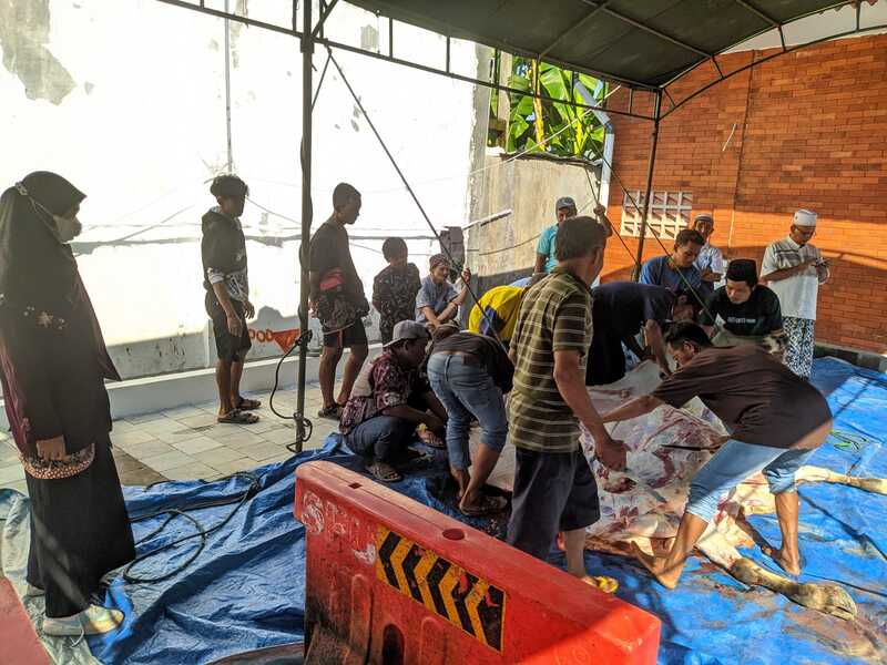 Kemenag Pantau Pelaksaan Kurban, Pastikan sesuai dengan PMA nomor 10/2022
