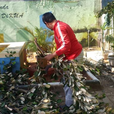 Jelang HUT ke-77 RI, KUA Adakan Bersih Lingkungan