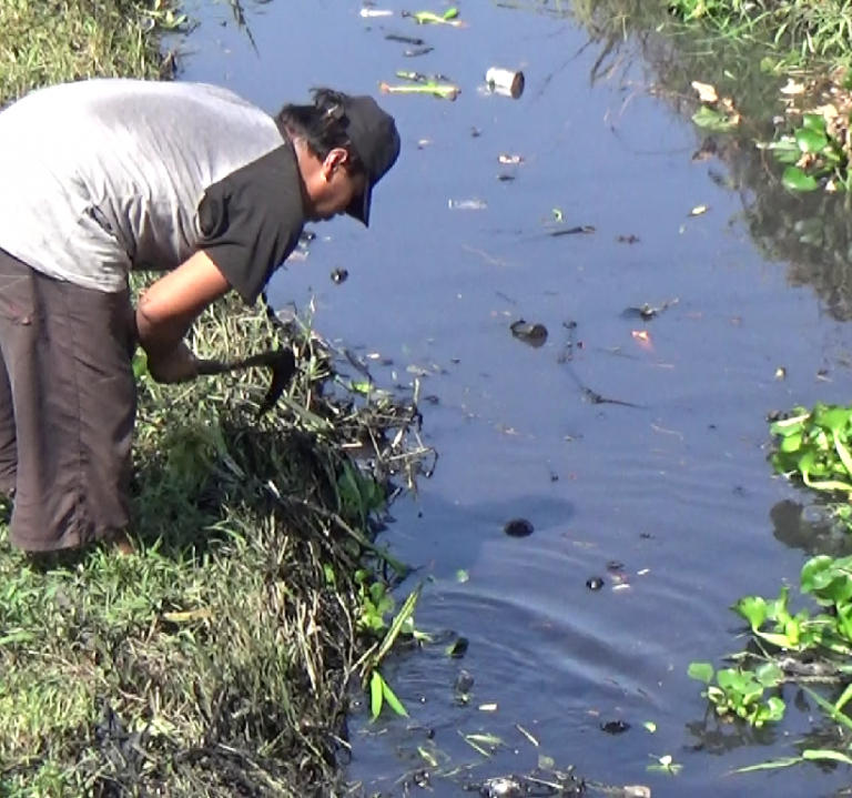 Jangan Buang Sampah ke Sungai