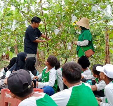 Songsong pelaksanaan Program Adiwiyata, MIN 1 Adakan Praktek Perkebunan