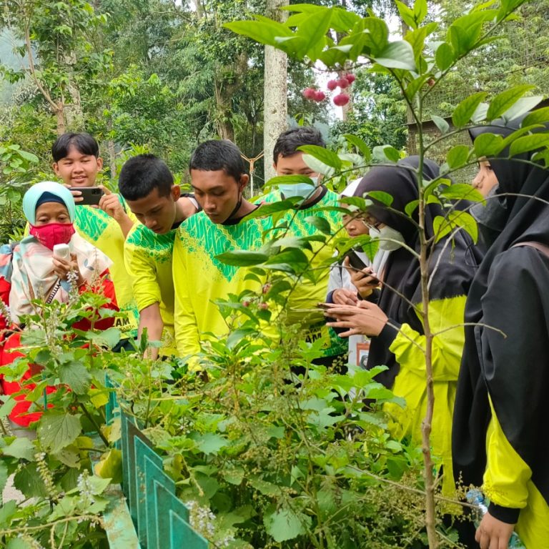 Obat Tradisonal dan Wirausaha Jadi Fokus Pembelajaran Outing Class