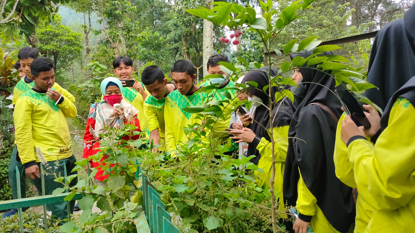 Obat Tradisonal dan Wirausaha Jadi Fokus Pembelajaran Outing Class