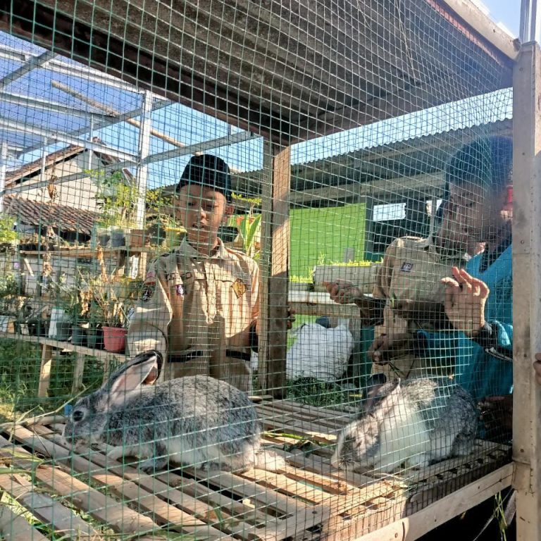 Fun Learning, Siswa MIN 1 Rembang Belajar Beternak Kelinci