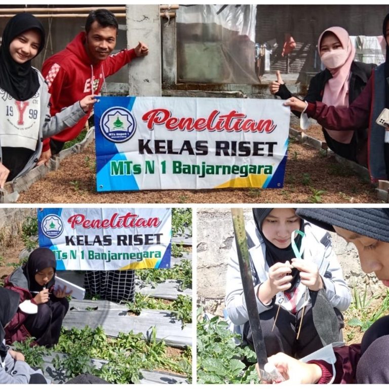 Finalis OPSI MTs N 1Banjarnegara Tahun 2023 Lakukan Penelitian di Dataran Dieng