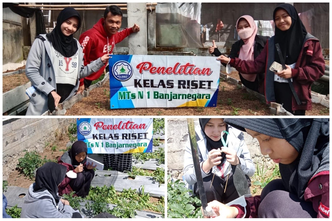 Finalis OPSI MTs N 1Banjarnegara Tahun 2023 Lakukan Penelitian di Dataran Dieng